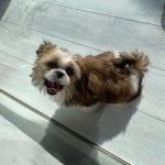 ADAF97B5-775E-48B8-8E5D-E382809FA8CB