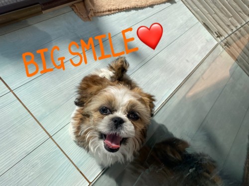 B71B0306-CCE9-4C6C-AAA1-303E48C17BF7