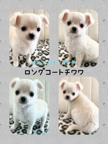 BC501037-4200-4C1B-AC21-3113AF15C6FD