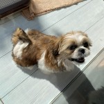 DFE5A2AD-F7D2-493E-A186-24DEBAFC9A70