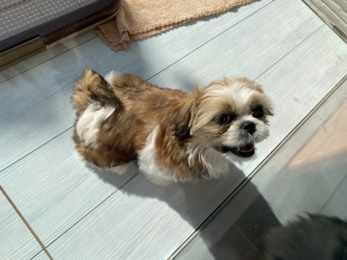 DFE5A2AD-F7D2-493E-A186-24DEBAFC9A70