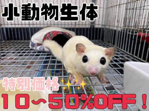 15AA7EED-EF8C-4AC8-ADFB-A187DCC16948