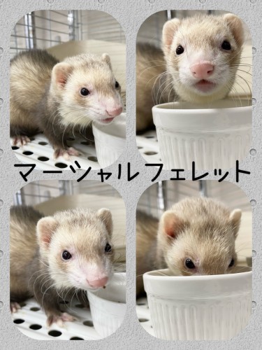 1FA37297-664C-4964-88EA-3B92F5F90F2C