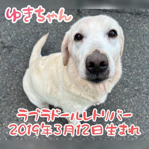 写真 2025-02-20 17 30 41 (1)