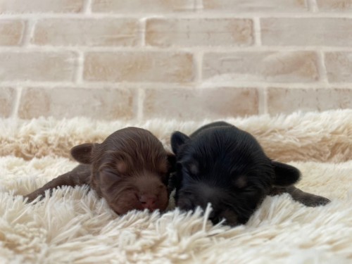 写真 2025-02-03 15 41 00 (2)