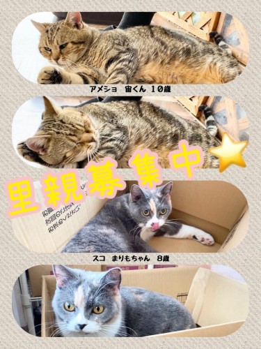 0A31FDC5-7132-4021-B9A9-235004B05B74