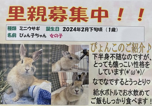 23678BE0-E85C-4A94-B50F-7C8159479164