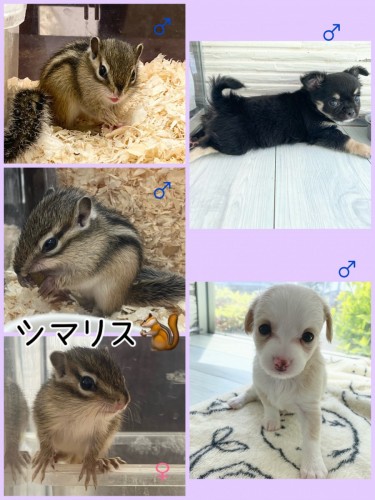 1F68F386-43D3-4A51-BD04-FE71E770890A