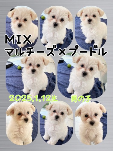 2821F84A-49CB-45D3-9E26-C96D4C77D1AF