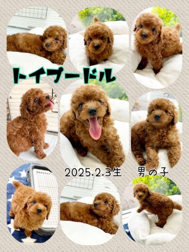 54105C9D-8D05-4AE1-89AA-A39A6A25B135