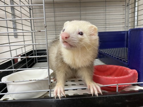 5753FD61-F277-4872-BD37-138BC13AC498