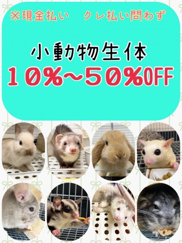 A8ADA6F4-9065-4AFA-BA03-F8221388F2ED