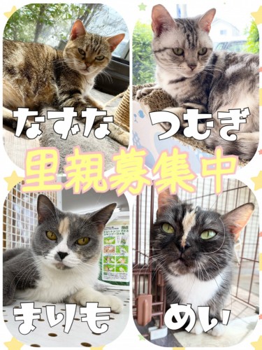 C3DCABE5-9E5C-4C4F-85E7-EEE764AA6910