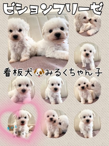 F0658450-B297-4602-A748-F48D191388D8