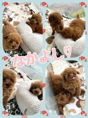 D95328EB-9BBF-4070-9239-F805DAA65F38