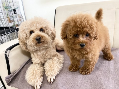 7CE48DD1-6B8E-4A95-8C14-C9849271C802