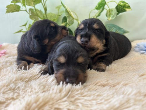 写真 2025-07-26 14 30 11