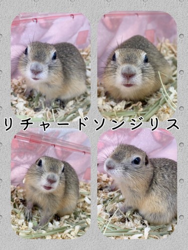 AECA5F5A-A1A9-4C9E-9CB9-A8DC5827B3CA