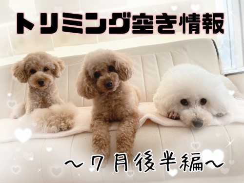 EF0F47A2-6A1C-45EB-B93F-8C8D0F7F3E44