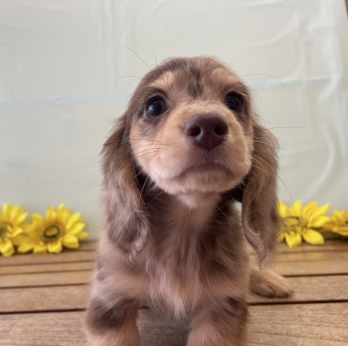 写真 2025-07-29 14 02 04