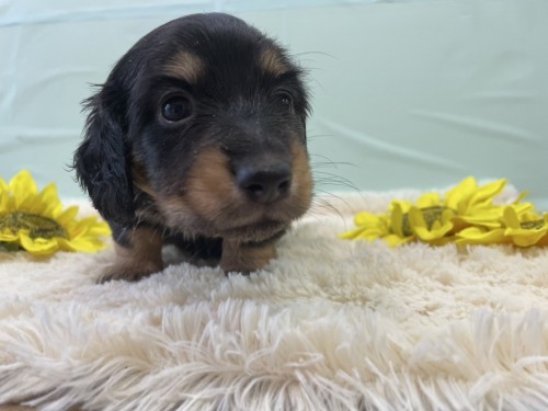 写真 2025-08-10 12 36 33