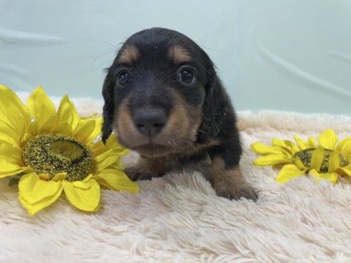 写真 2025-08-10 12 36 33 (5) (1)