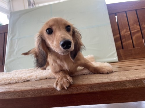 写真 2025-08-22 15 26 12