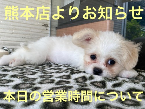 B16B6330-0491-4D57-AC45-DDE0B4D66695