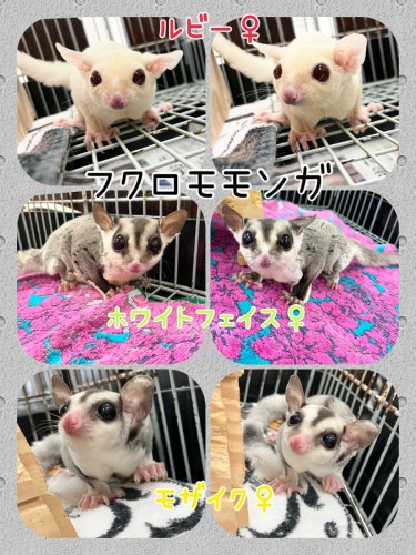 406F77A4-D9F3-4655-A1CA-DEF7910B0D33