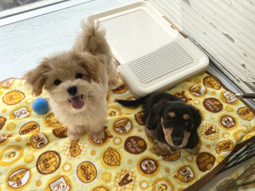 F2158B08-2738-4352-825A-6ACD11DA9D16