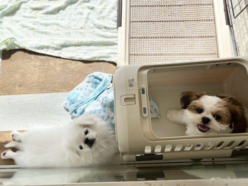 E5B9B711-F409-4D65-9CF1-80F9711D94F3