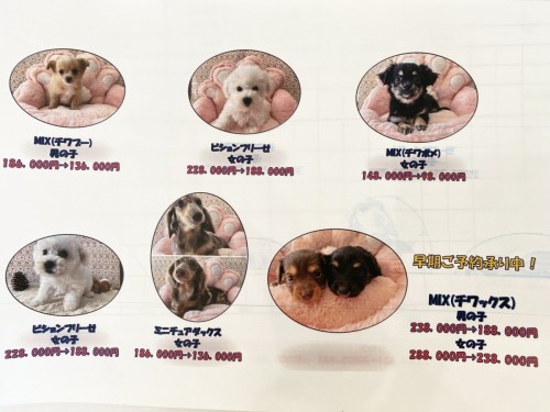 E1A9C099-904E-4584-8DED-272BC42CCA22