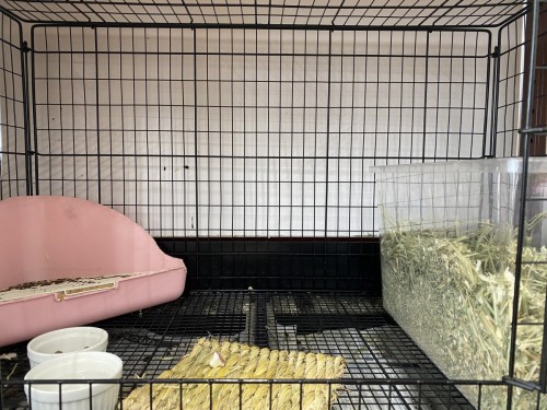 50DE4824-EC0D-487D-BDB8-ADA3C3E086A2