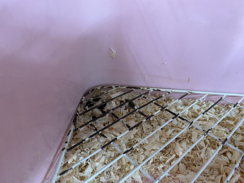 994D005A-6ADC-42E6-AA29-21B377E39697