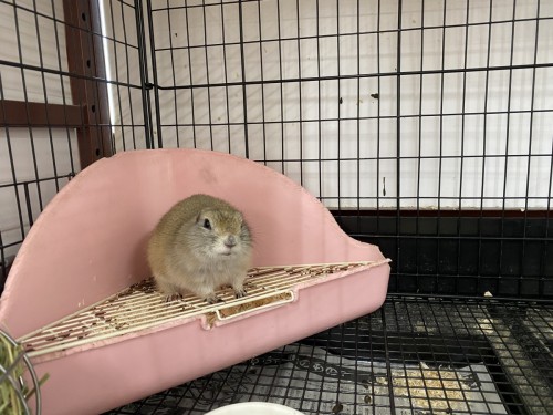 C5F071D1-3FF9-4F4E-8805-0EDAB4928EC8