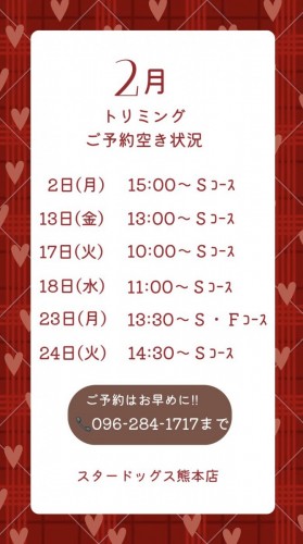 熊本店２月トリミング空き情報