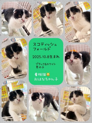 熊本店の新しい仲間★