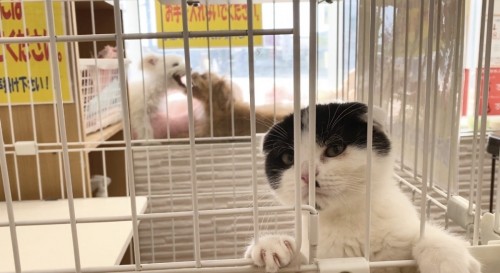 熊本店の可愛い子達