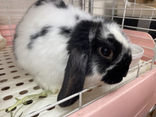 13FF281A-075B-4BD4-9FFE-9743B061FE78