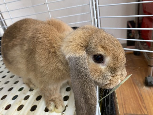 92F38D06-B207-4D11-8793-C7394989A958