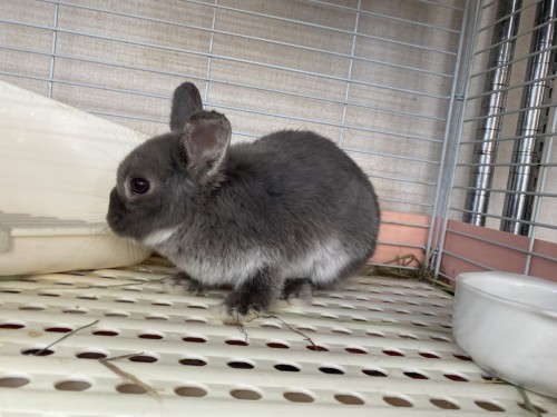 B94A54F2-F05A-4F47-9E7A-7D21060458E7