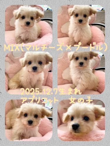 熊本店の新しい仲間♪