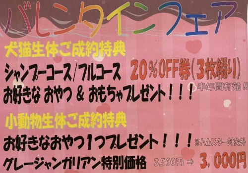 バレンタインフェア　in熊本