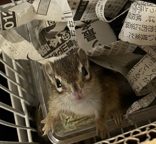 7807F13E-146B-4E2F-B076-B5ADB0B2D64D